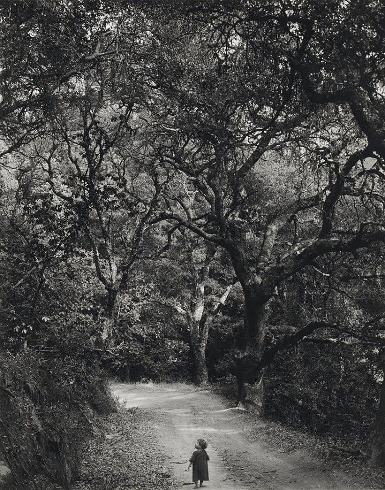 ის, რაც კადრს მიღმა დავინახე..